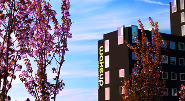 Moderne bygg med "Wakeup"-skilt mot en klar blå himmel. Kirsebærblomstrende trær og en seng med fargerike tulipaner i forgrunnen skaper en levende vårscene. Kontrer strekker himmelen.