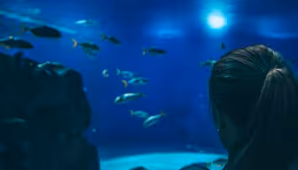 En person med hestehale holder en baby mens han ser på et akvarium. Ulike fisk svømmer blant steiner i det blåopplyste vannet. Scenen formidler en fredelig og kontemplativ atmosfære.