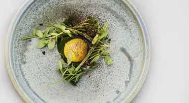 En keramisk tallerken med et vakkert arrangert fat med en gul eggeplomme garnert med sort pepper, friske grønne urter og mikrogrønt. Presentasjonen er minimalistisk og kunstnerisk, og fremhever fargene og teksturene til ingrediensene.
